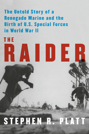 The Raider by Stephen R. Platt
