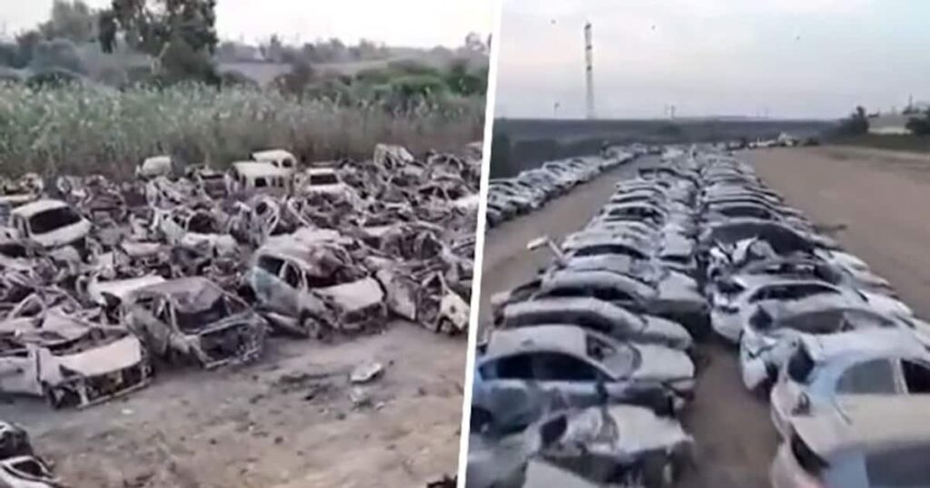 A collage of a group of cars Description automatically generated
